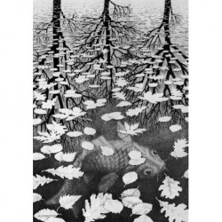 Poster Escher Art. 10 cm 50x70 Stampa Falsi d'Autore Affiche Plakat Fine Art