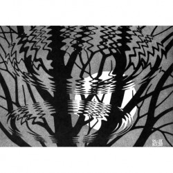 Poster Escher Art. 17 cm 35x50 Stampa Falsi d'Autore Affiche Plakat Fine Art