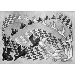 Poster Escher Art. 34 cm 35x50 Stampa Falsi d'Autore Affiche Plakat Fine Art