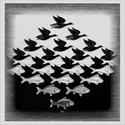 Poster Escher Art. 38 cm 50x50 Stampa Falsi d'Autore Affiche Plakat Fine Art