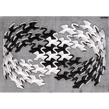 Poster Escher Art. 61 cm 70x70 Stampa Falsi d'Autore Affiche Plakat Fine Art