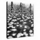 Quadro Escher Art. 10 cm 35x50 Trasporto Gratis intelaiato pronto da appendere Stampa su tela Canvas