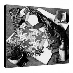 Quadro Escher Art. 15 cm 35x35 Trasporto Gratis intelaiato pronto da appendere Stampa su tela Canvas