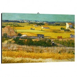 Quadro Van Gogh Art. 03 cm 35x50 Trasporto Gratis intelaiato pronto da appendere Stampa su tela Canvas