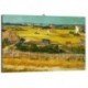 Quadro Van Gogh Art. 03 cm 70x100 Trasporto Gratis intelaiato pronto da appendere Stampa su tela Canvas