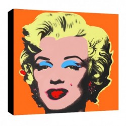 Bild Warhol Art. 11 cm 35x35 Kostenloser Transport Druck auf Leinwand das gemalde ist fertig zum aufhangen
