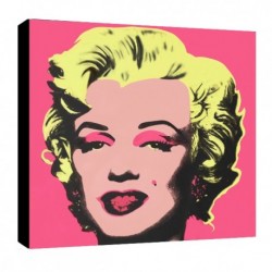 Bild Warhol Art. 12 cm 35x35 Kostenloser Transport Druck auf Leinwand das gemalde ist fertig zum aufhangen