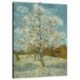 Quadro Van Gogh Art. 20 cm 70x100 Trasporto Gratis intelaiato pronto da appendere Stampa su tela Canvas