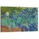 Quadro Van Gogh Art. 51 cm 35x50 Trasporto Gratis intelaiato pronto da appendere Stampa su tela Canvas