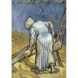 Poster Van Gogh Art. 49 cm 35x35 Stampa Falsi d'Autore Affiche Plakat il negozio di Alex