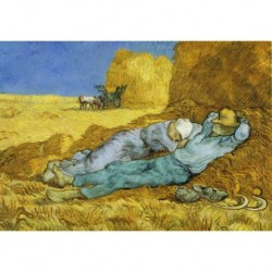Poster Van Gogh Art. 53 cm 35x50 Stampa Falsi d'Autore Affiche Plakat il negozio di Alex